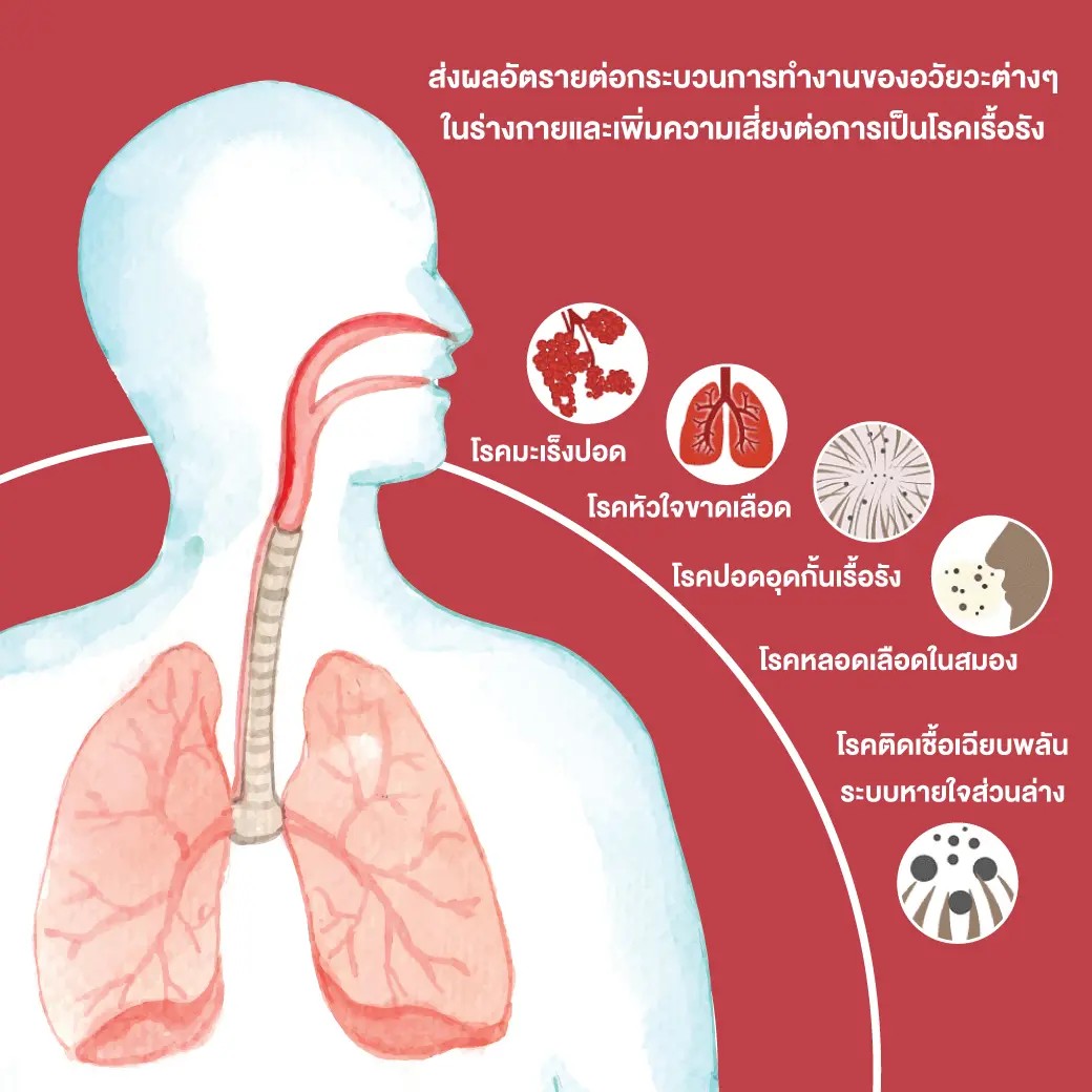 หน้ากากคาร์บอน PM 2.5