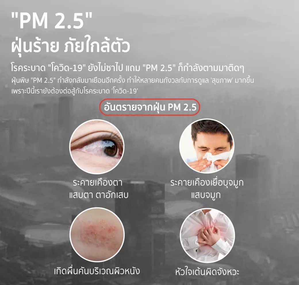 หน้ากากคาร์บอน PM 2.5