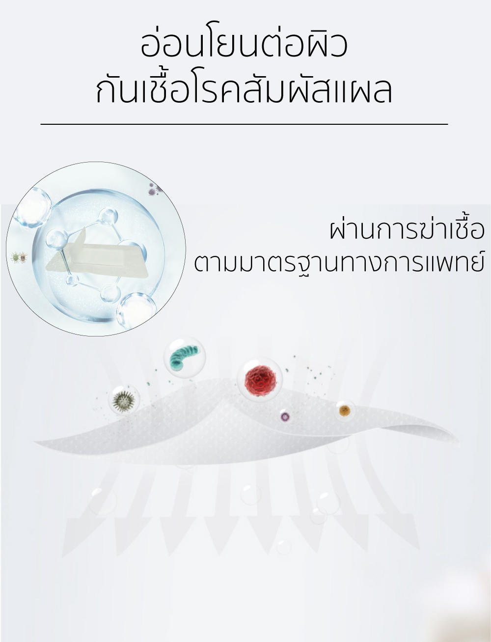 พลาสเตอร์แผ่นใหญ่